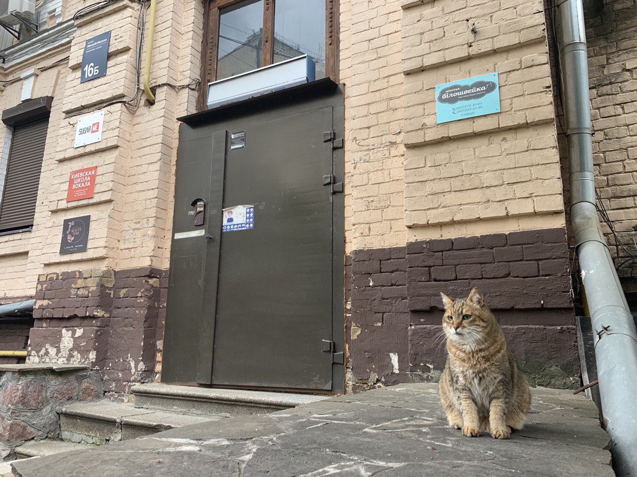 Вокальная студия центр